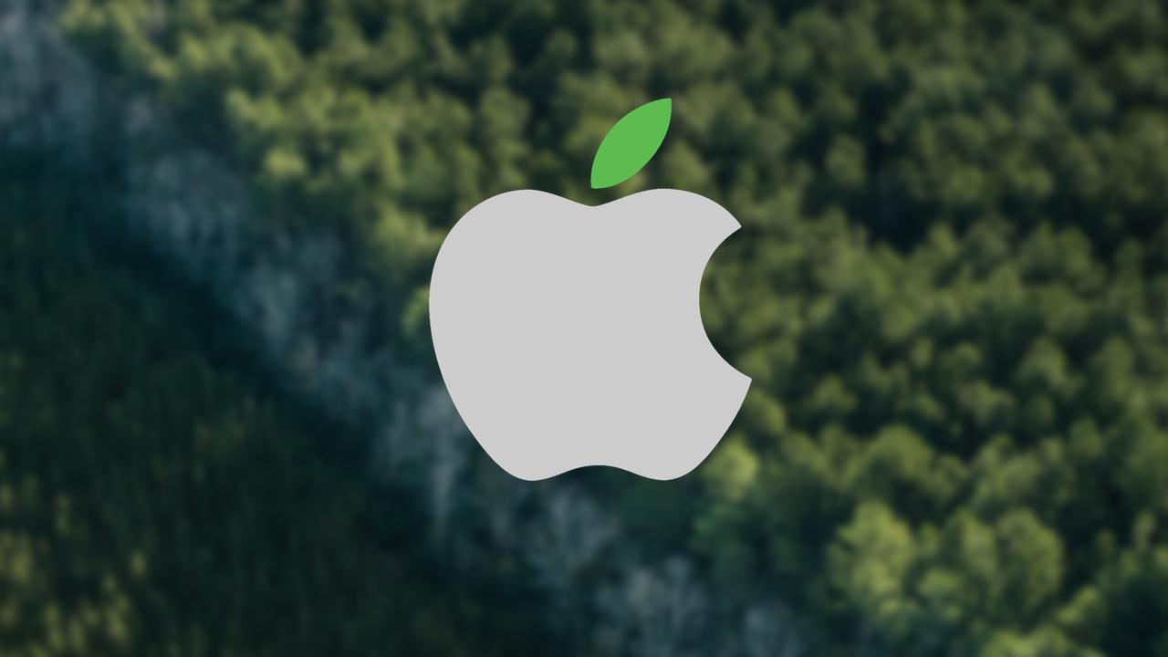 resultados programa reforestacion de Apple