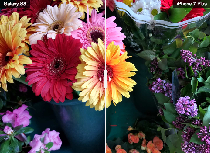 Comparativa Fotos Macro Samsung Galaxy S8+ iPhone 7