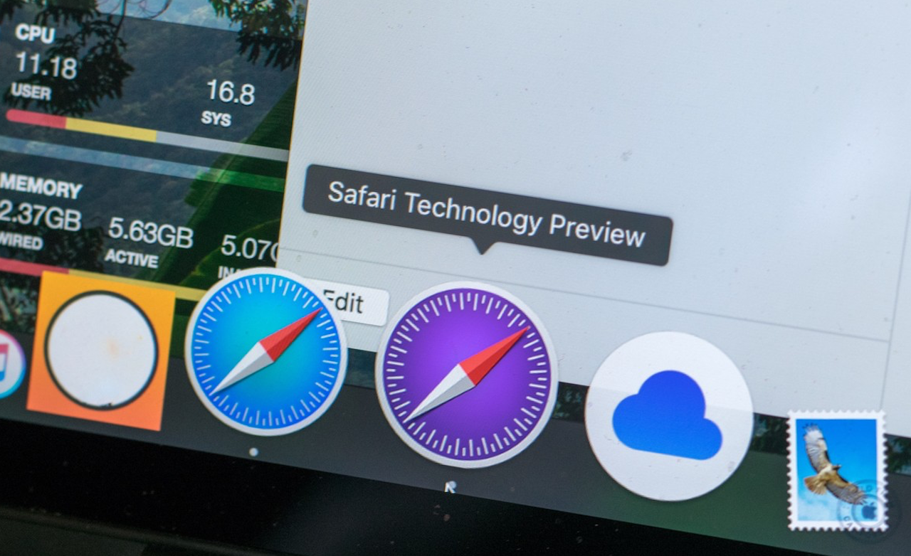 Safari Technology Preview 29 en Mac