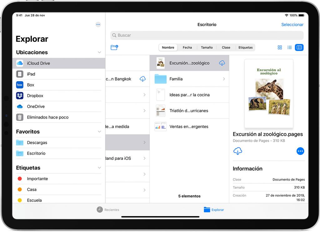 Enviar fuga portugués Cómo descargar y gestionar archivos en el iPad