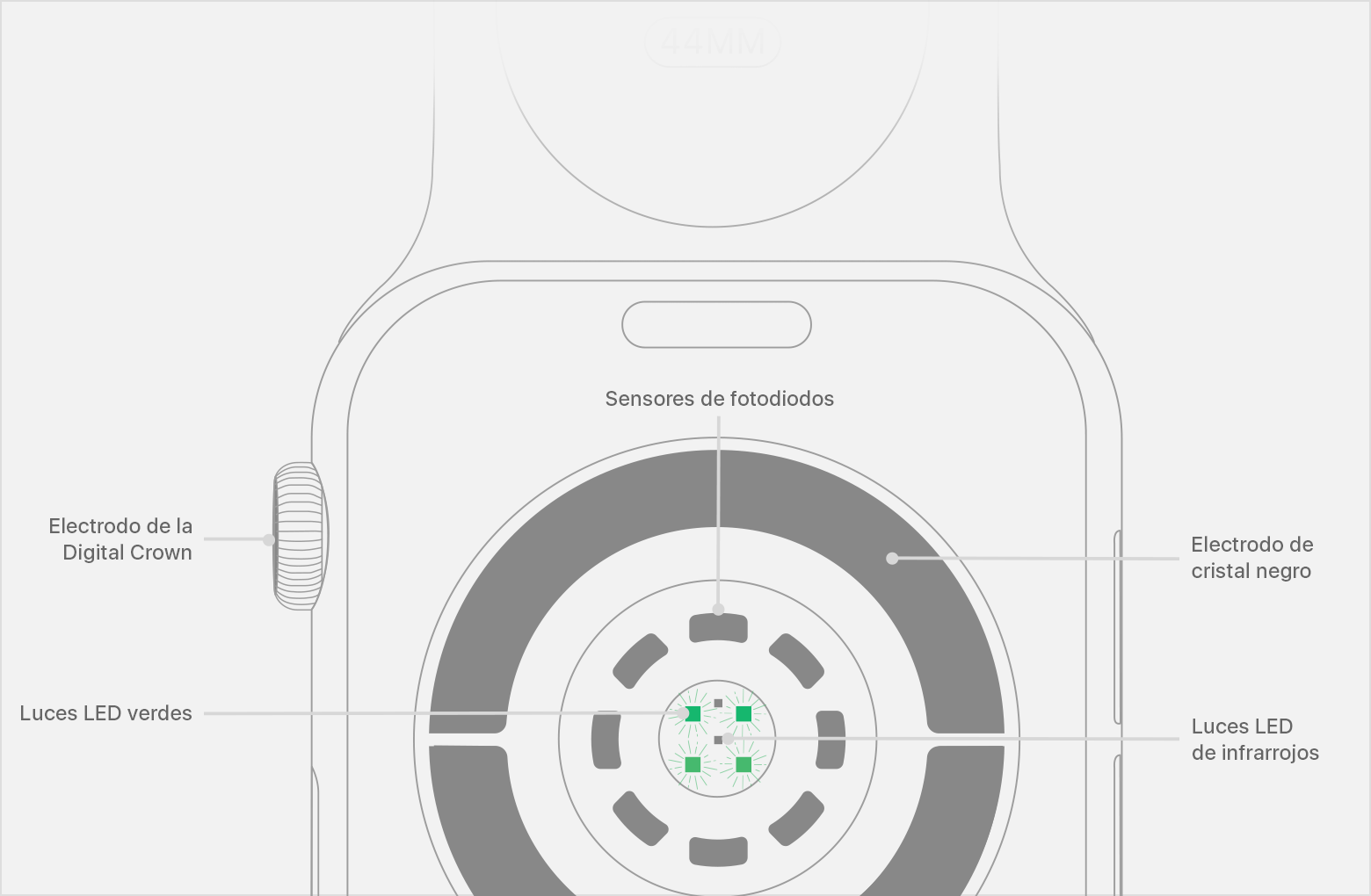 Sensores Apple Watch