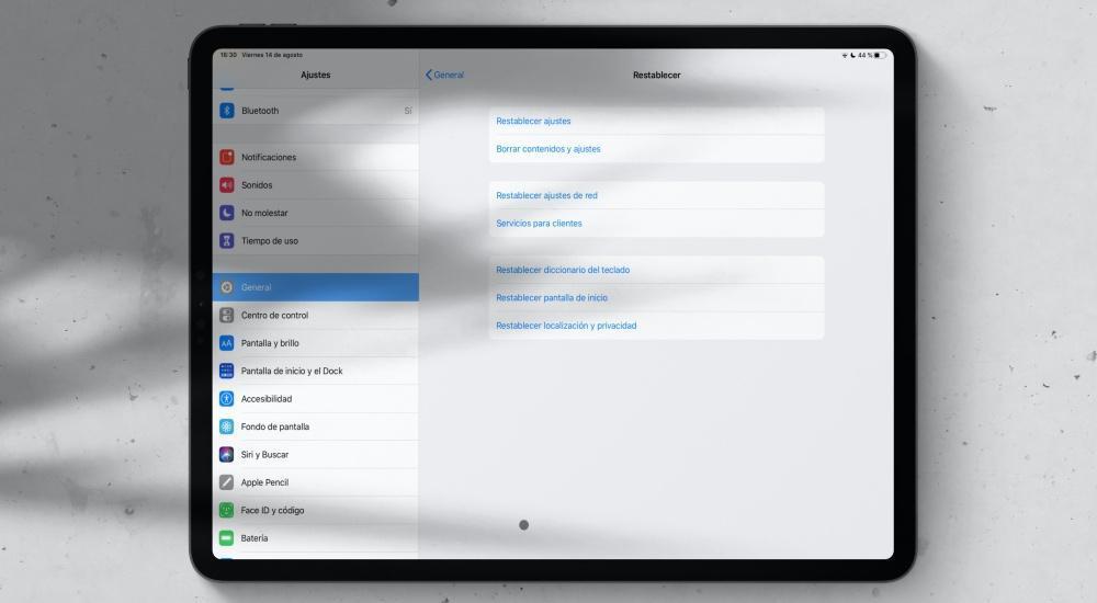 Formatear iPad Pro