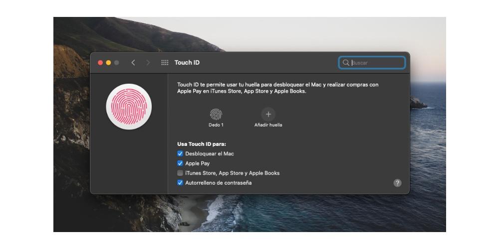Establecer Touch ID en Mac