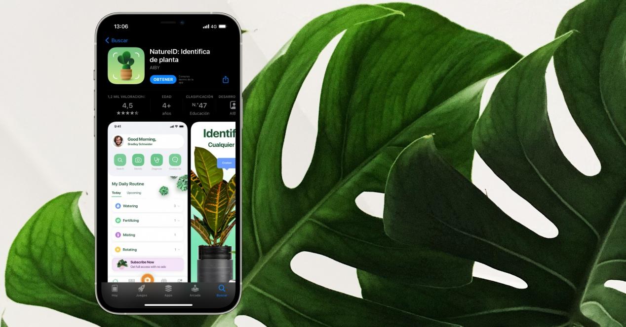 Apps para cuidar plantas