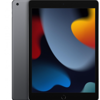 iPad Wi-Fi + Cell