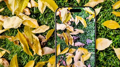iPhone plantas