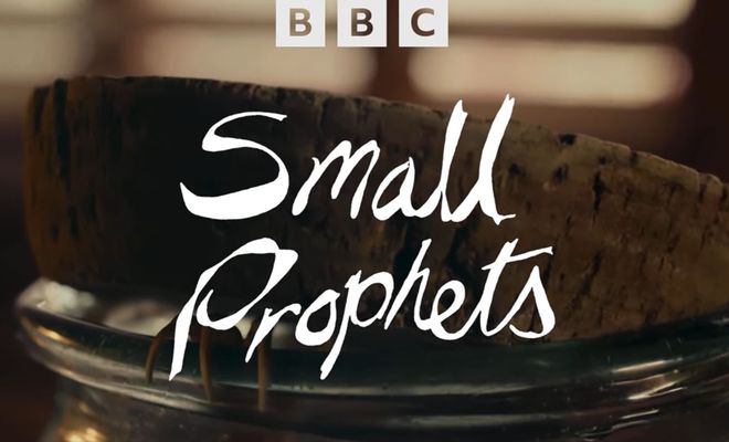 Cartel Small Prophets