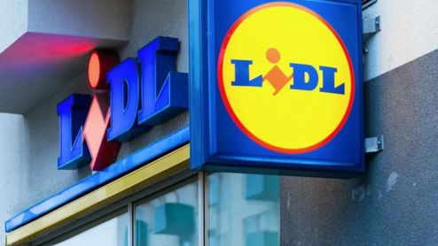Organizador de lidl para armario