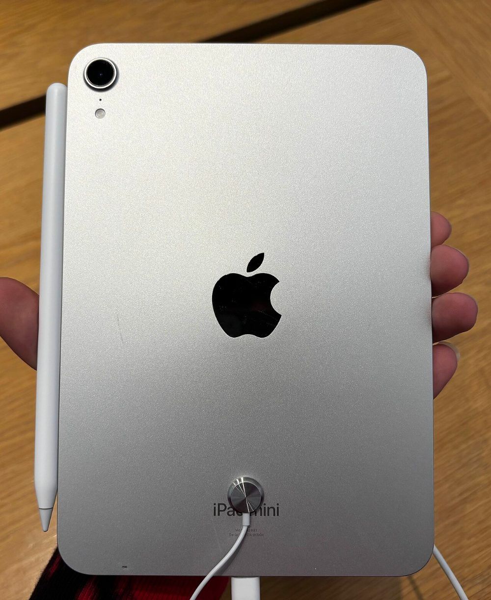 iPad mini con chip A17 Pro en color Starlight, vista trasera