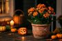 Planta kalanchoe con flores naranjas en una maceta decorada con relieves de calabazas y fantasmas sobre una mesa de madera.