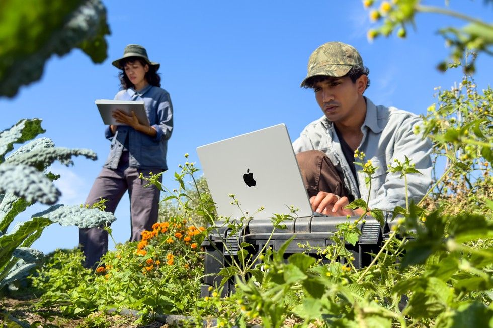 Un hombre utiliza un ordenador MacBook Pro en un entorno agrícola, apoyado sobre una caja protectora entre plantas, mientras una mujer toma notas al fondo.