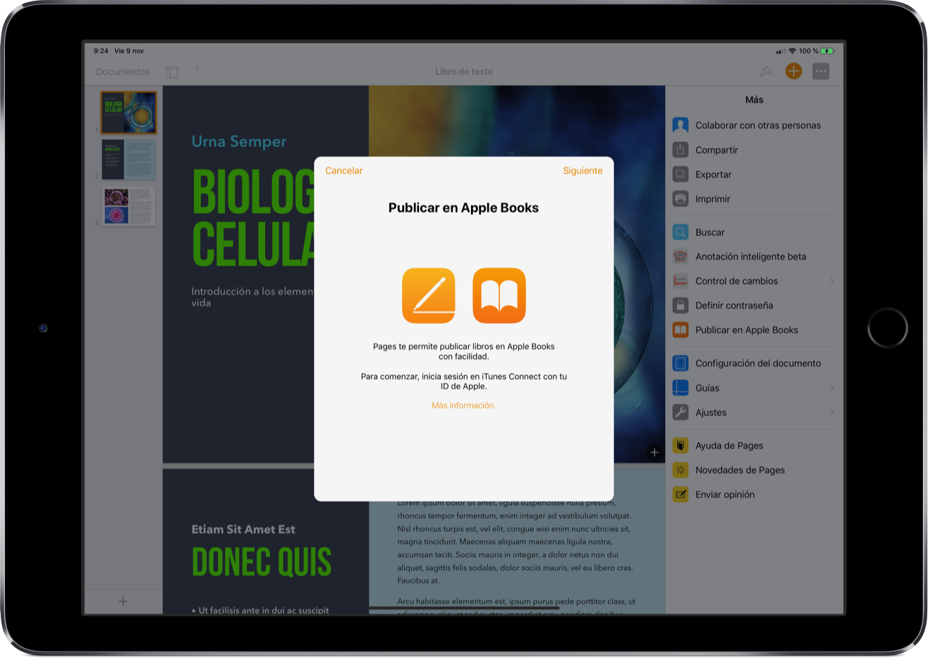 Pages iOS iPad
